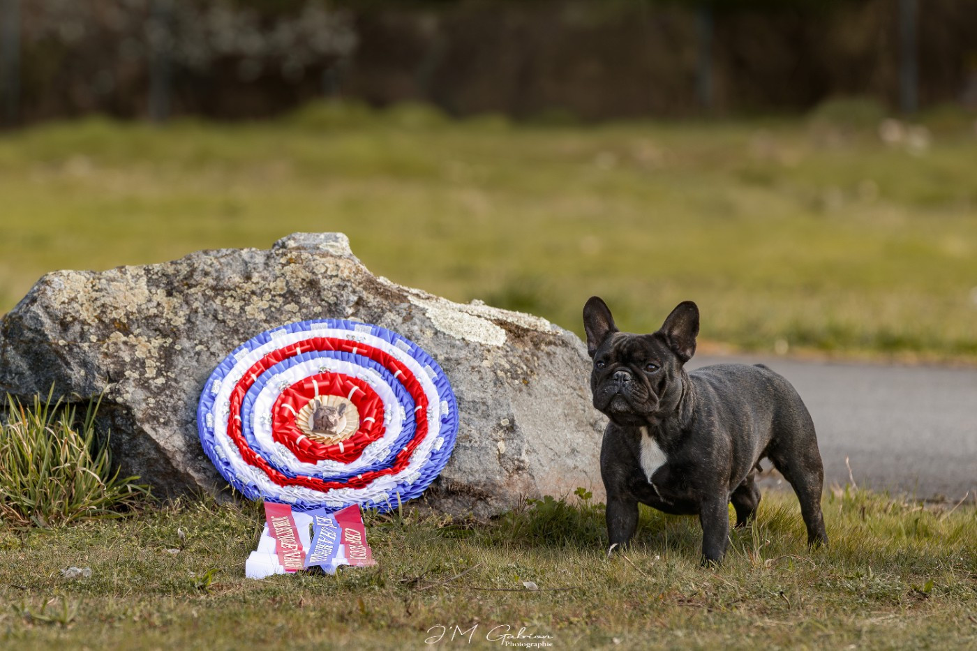 CH. That love Des Courtines De Chambray