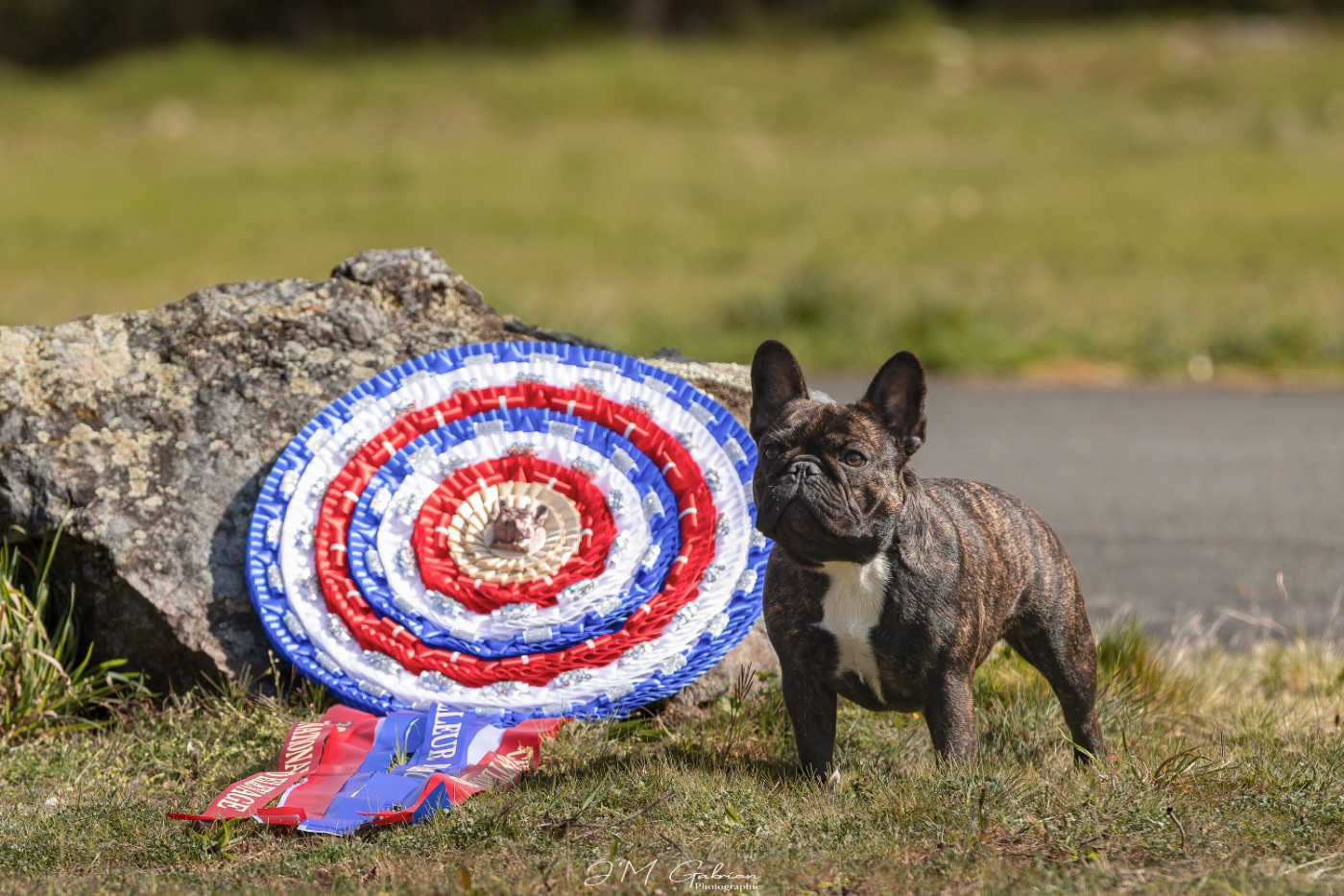 CH. Vilain revenge De L'Idylle Sacrée
